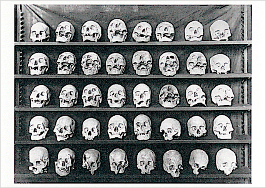 Dead Heads Postcard