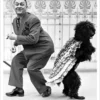 Doing the Poodle Bump Postcard