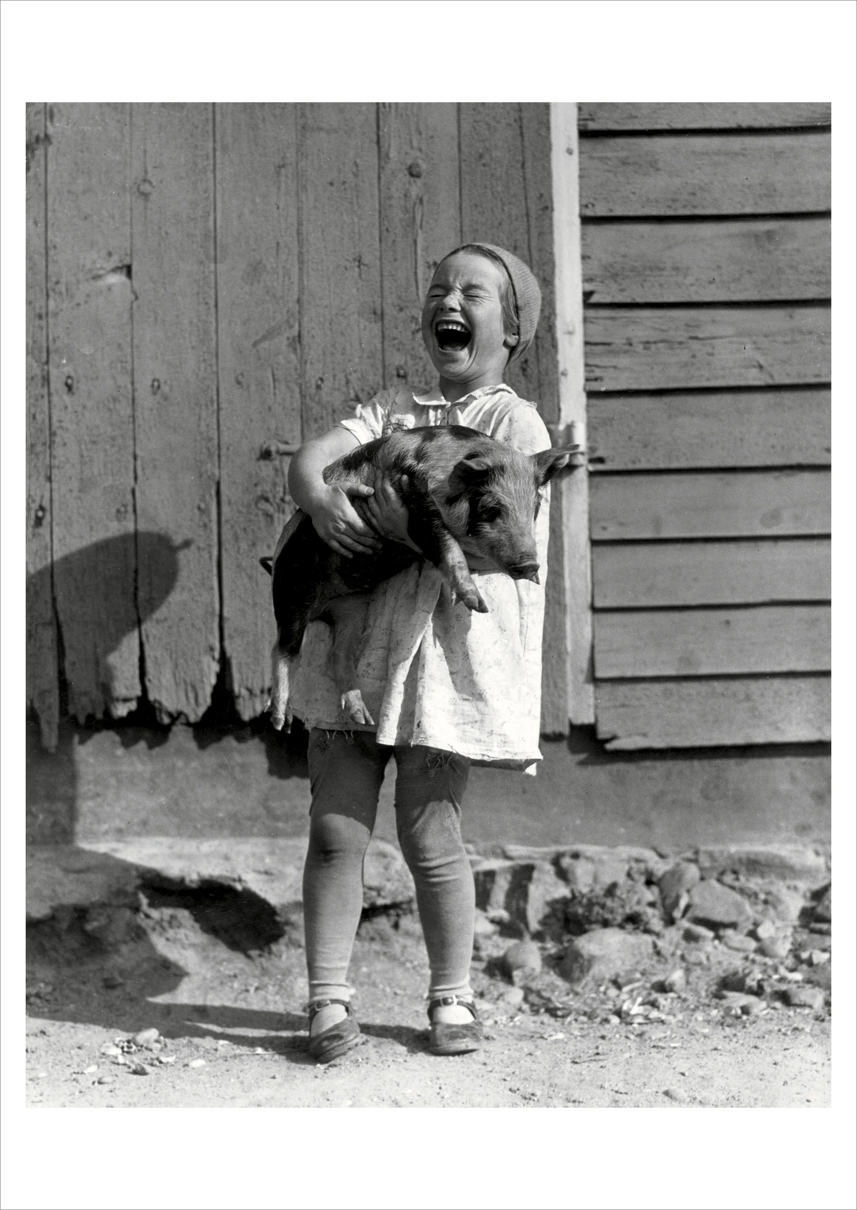 Every Girl Should Have a Piglet Postcard