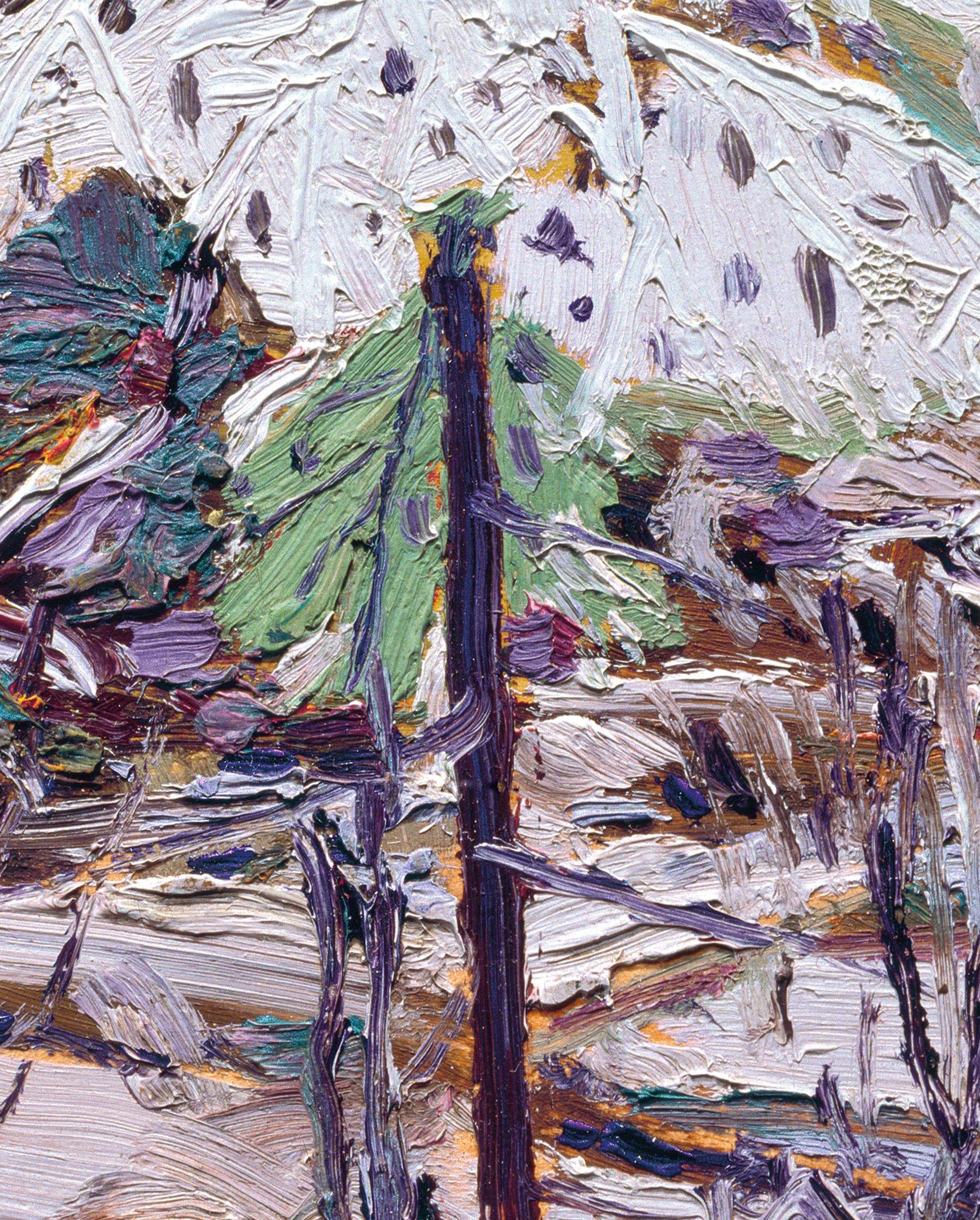 Tom Thomson: Snow in the Woods Bookmark