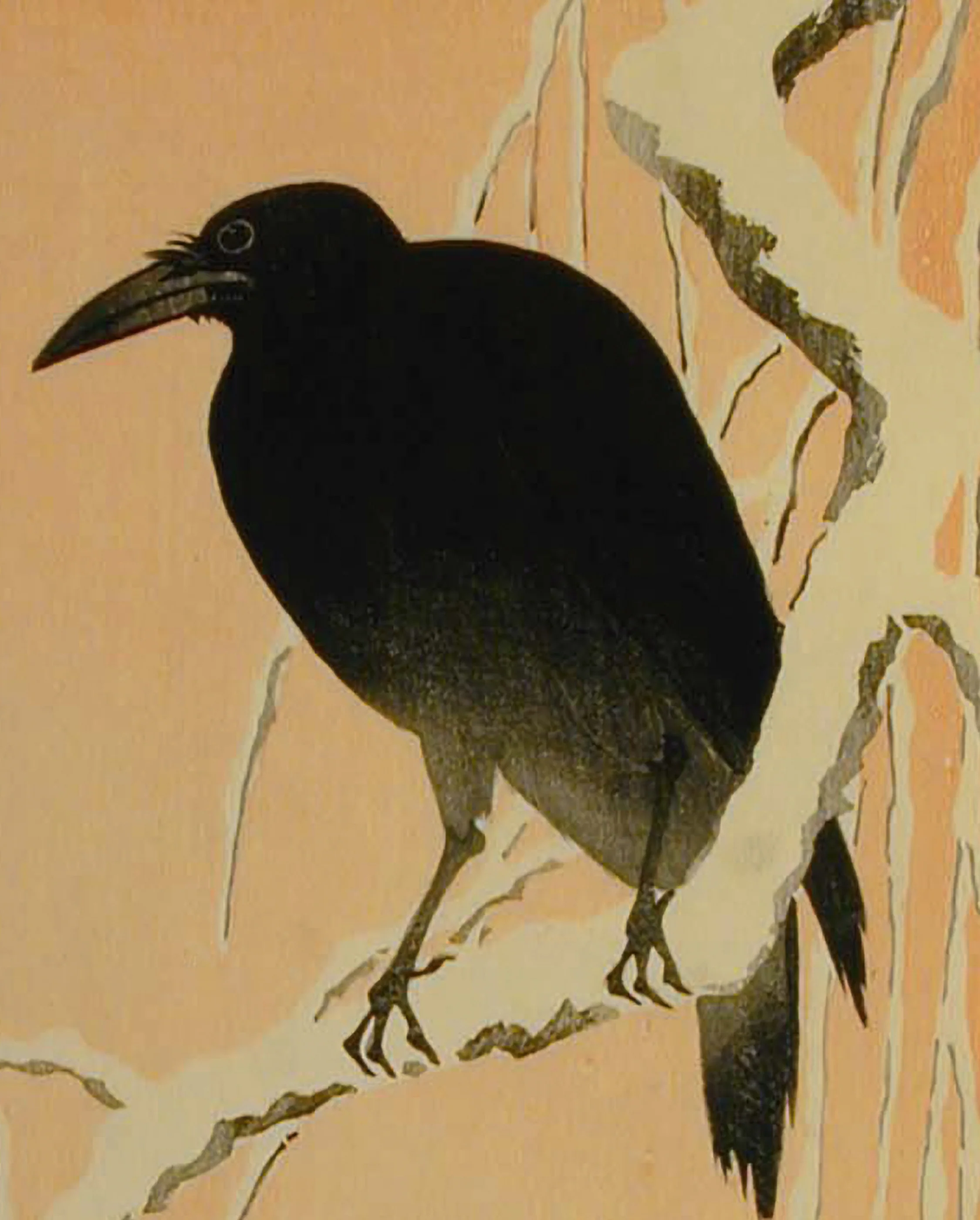 Ohara Koson (Shōson): Crow in Snow Bookmark