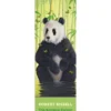 Robert Bissell: The Bamboo Forest Bookmark