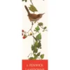 J. Fenwick Lansdowne: Bewick’s Wren Bookmark