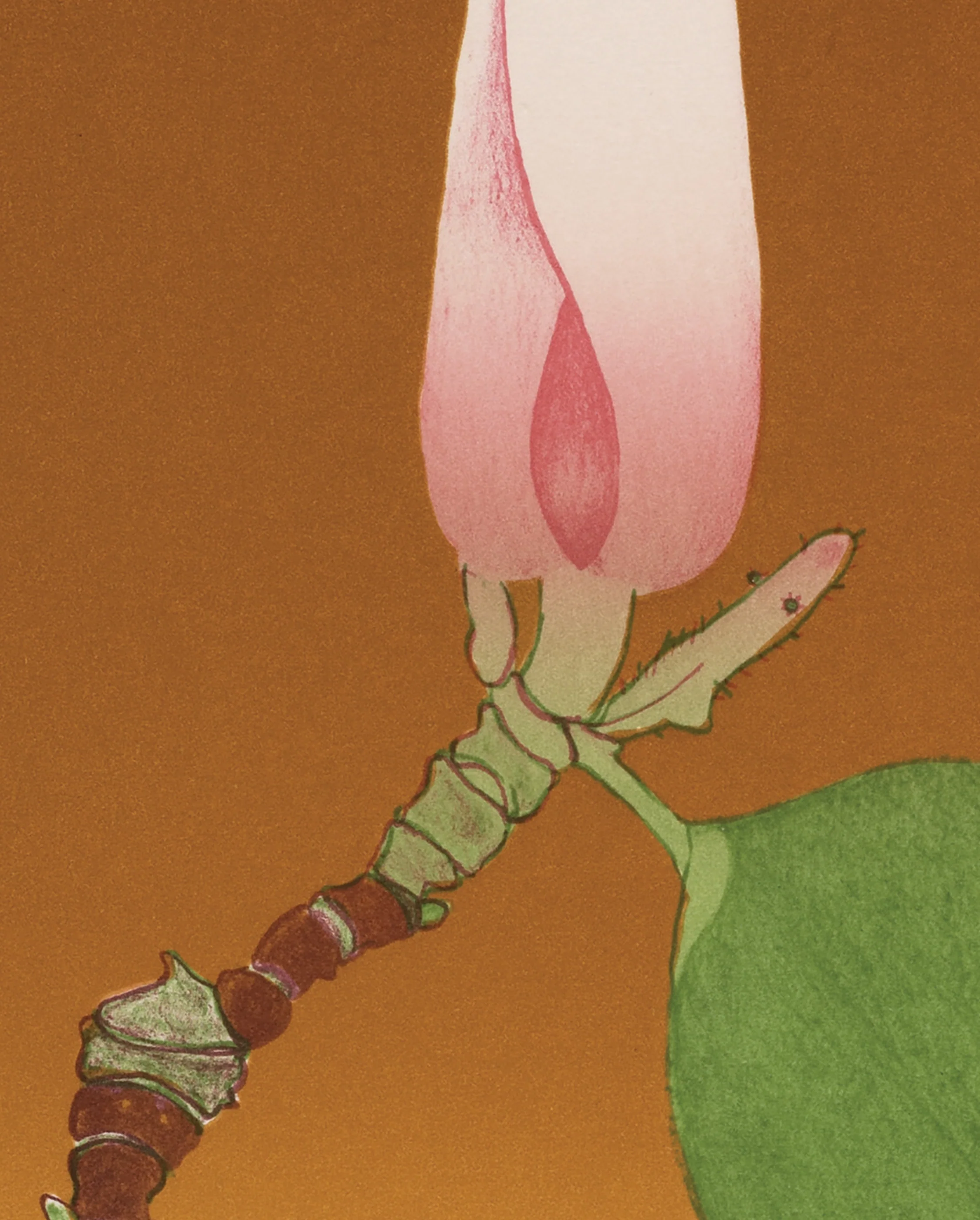 Beth Van Hoesen: Magnolia Bud Bookmark
