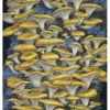 Vasilisa Romanenko: Yellow Oyster Mushrooms Notecard