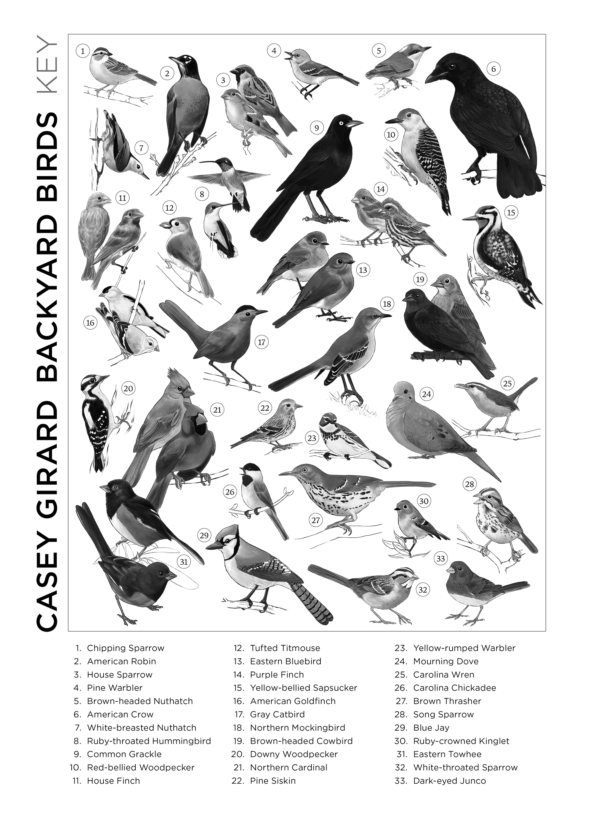 Casey Girard: Backyard Birds 1000-Piece Jigsaw Puzzle 4 Casey Girard: Backyard Birds 1000-Piece Jigsaw Puzzle