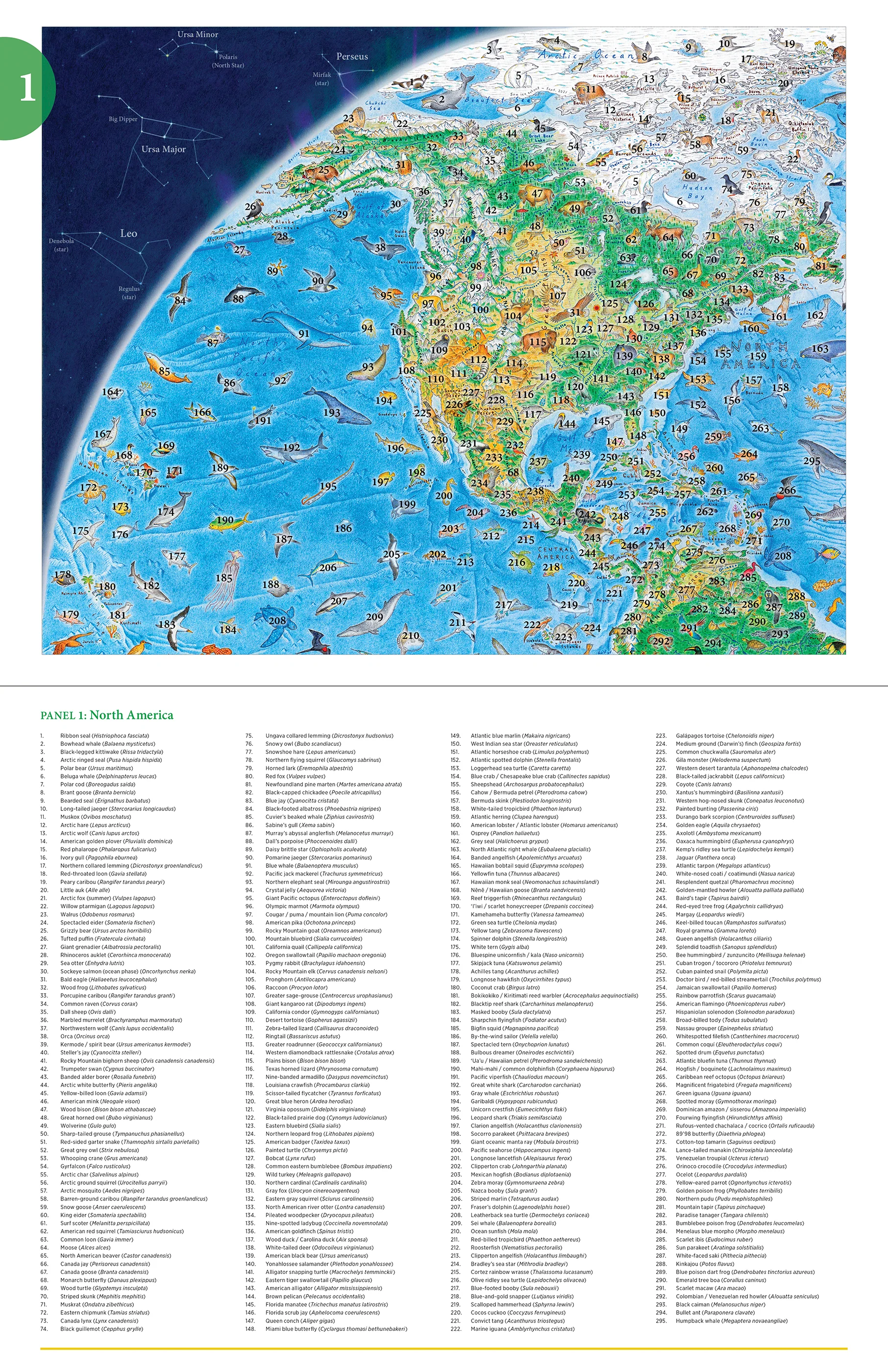 Anton Thomas: Wild World 1500-Piece Jigsaw Puzzle 5 Anton Thomas: Wild World 1500-Piece Jigsaw Puzzle