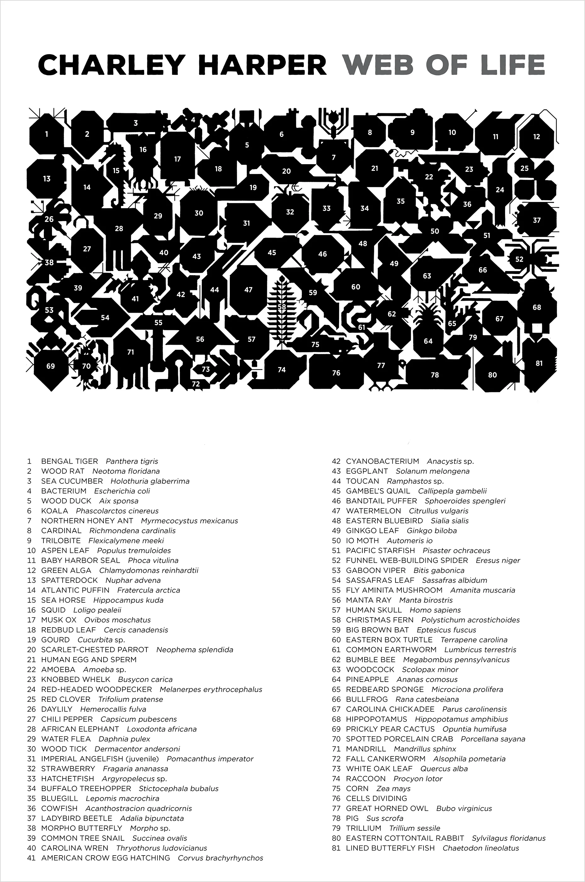 Charley Harper: Web of Life 2000-Piece Jigsaw Puzzle