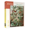 Ernst Haeckel: Hummingbirds 300-Piece Jigsaw Puzzle