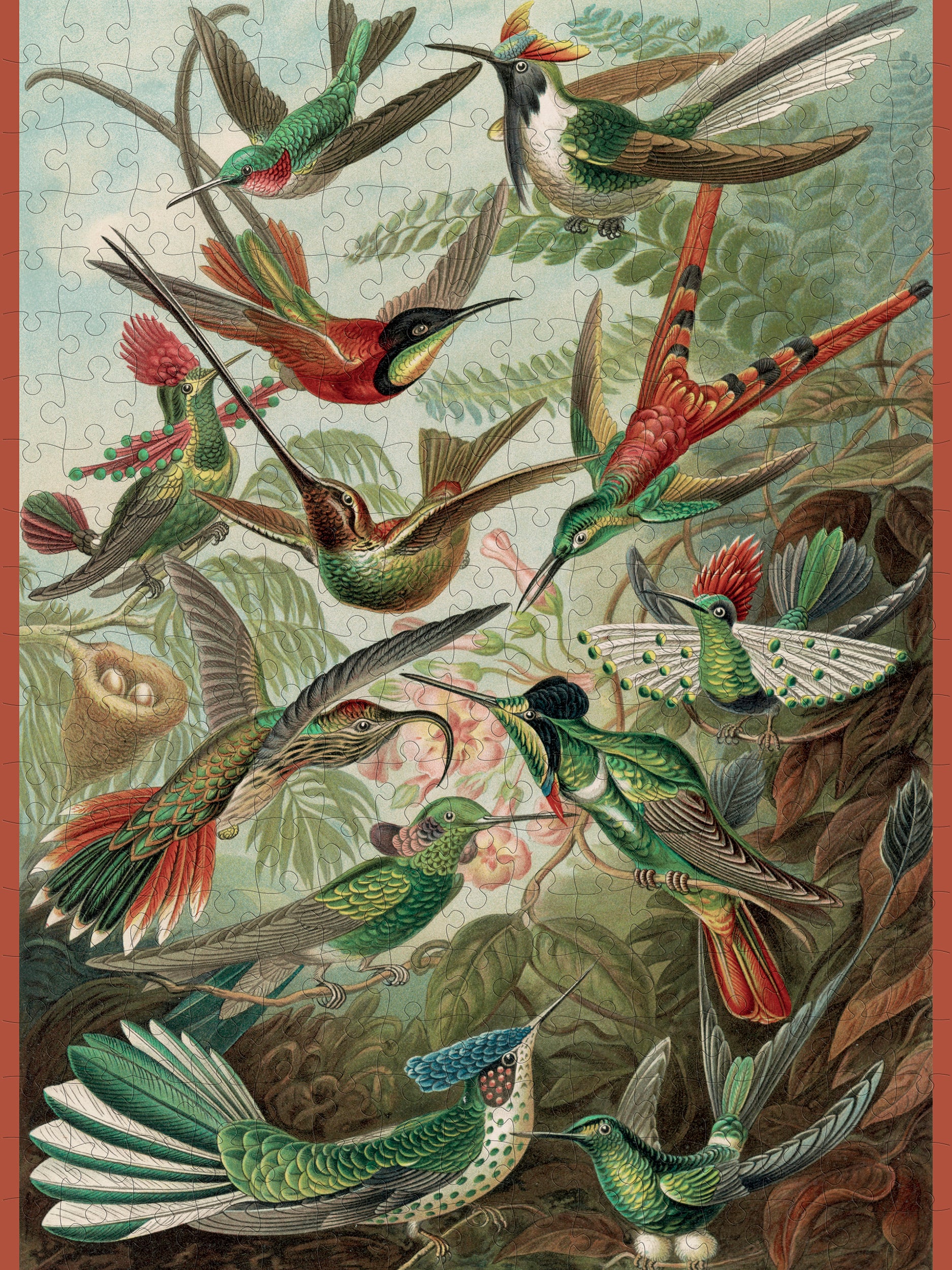 Ernst Haeckel: Hummingbirds 300-Piece Jigsaw Puzzle