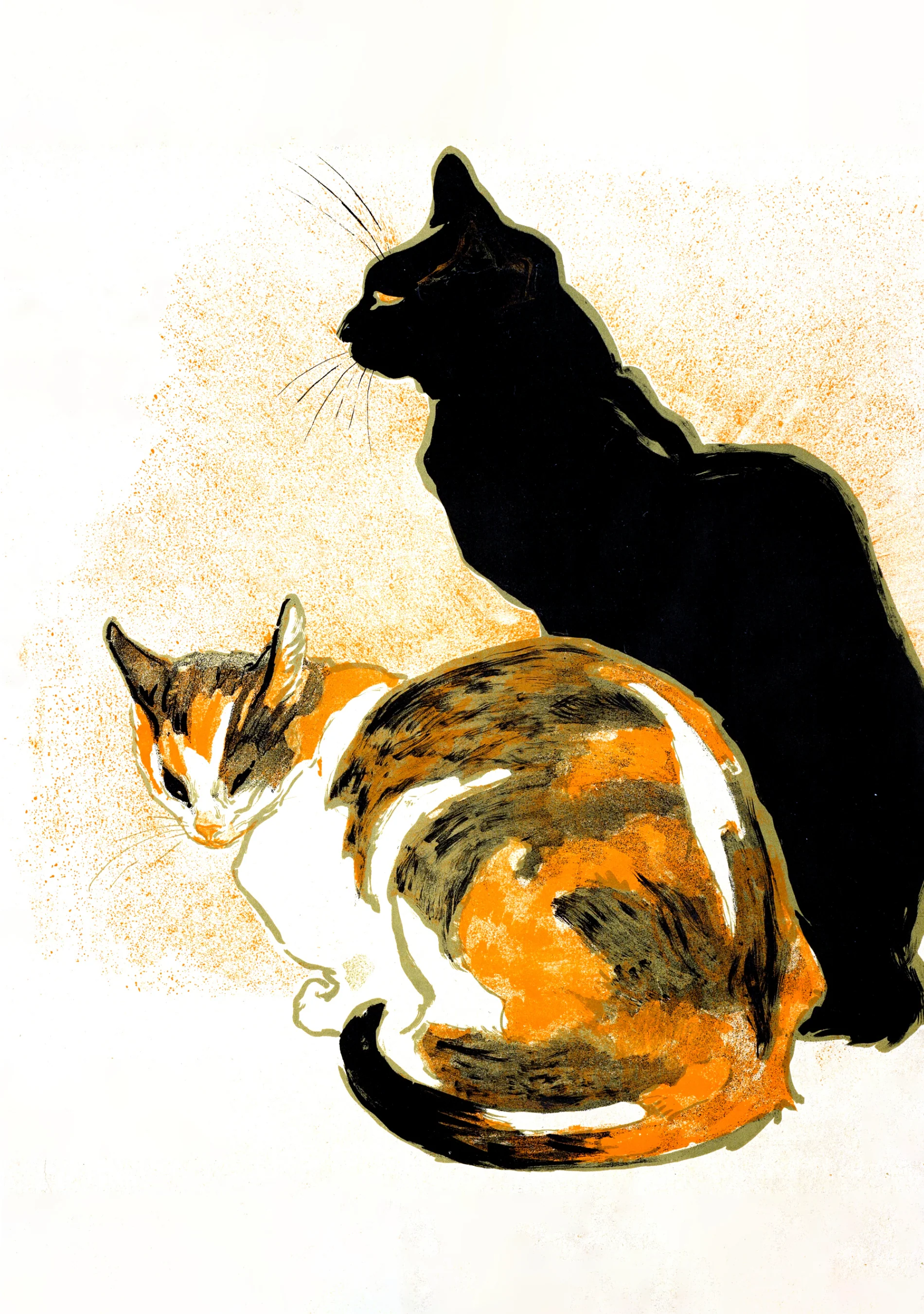 Black Cats Boxed Notecard Assortment