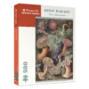 Ernst Haeckel: Sea Anemones 500-Piece Jigsaw Puzzle