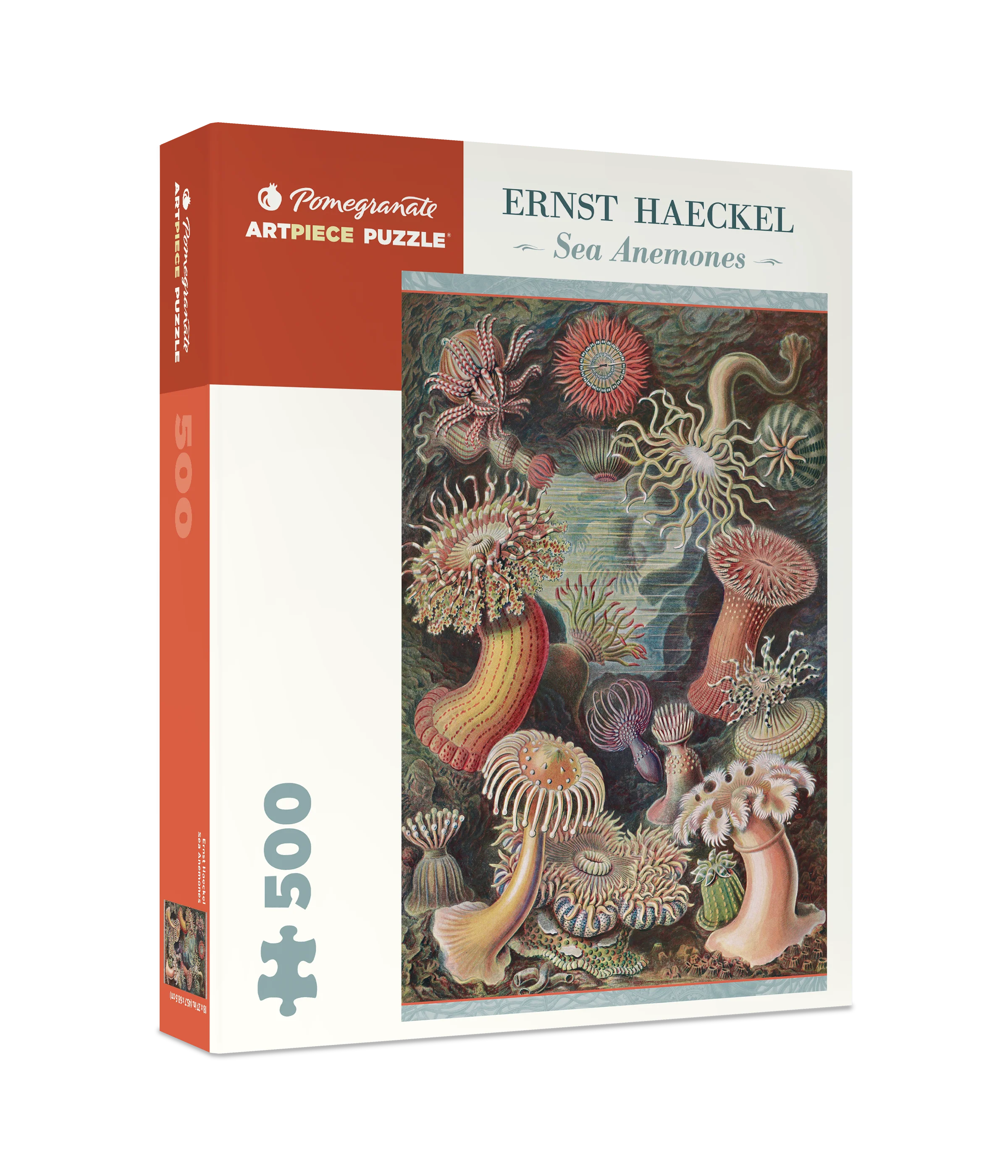 Home 8 Ernst Haeckel: Sea Anemones 500-Piece Jigsaw Puzzle