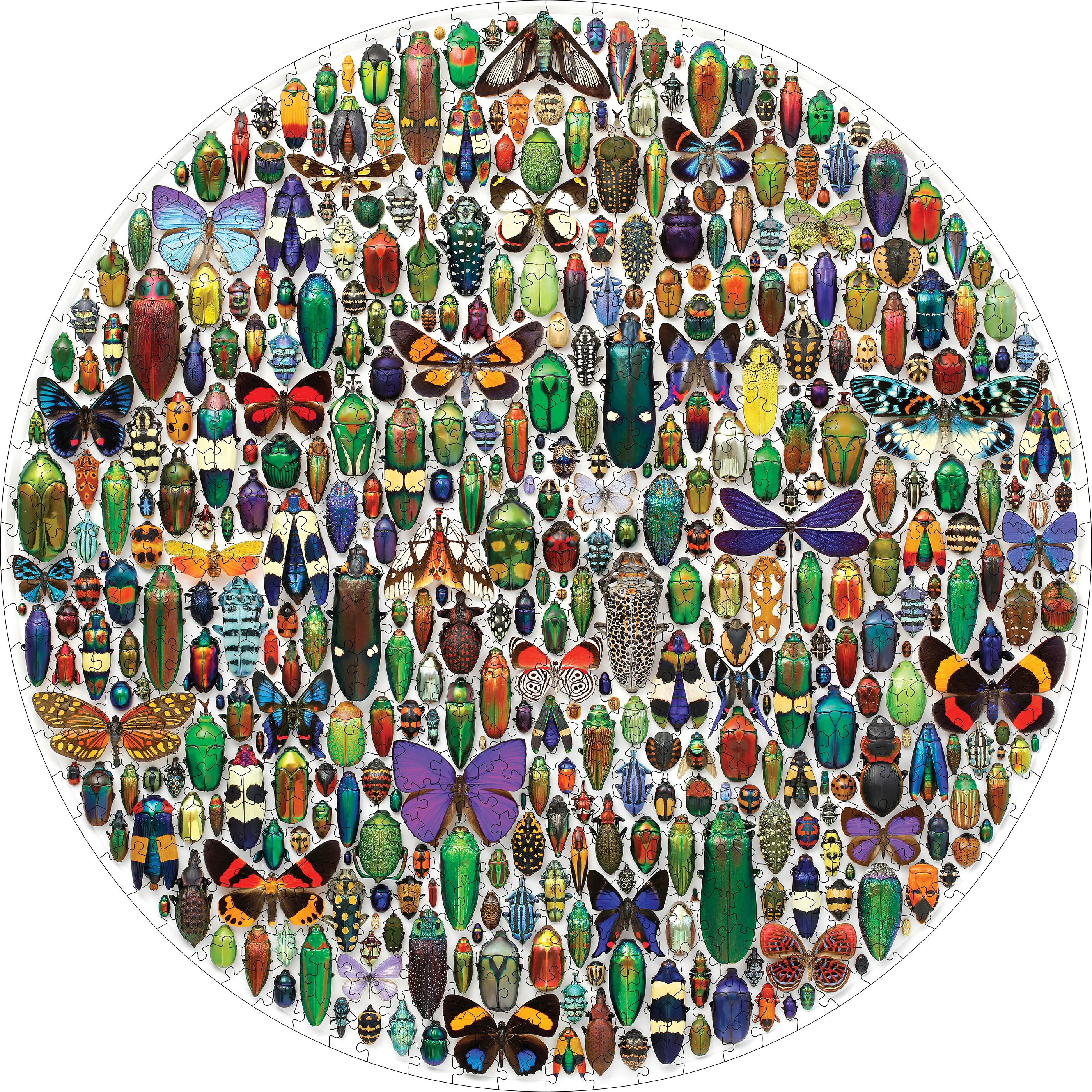 Christopher Marley: Macrocosm 500-Piece Circular Jigsaw Puzzle