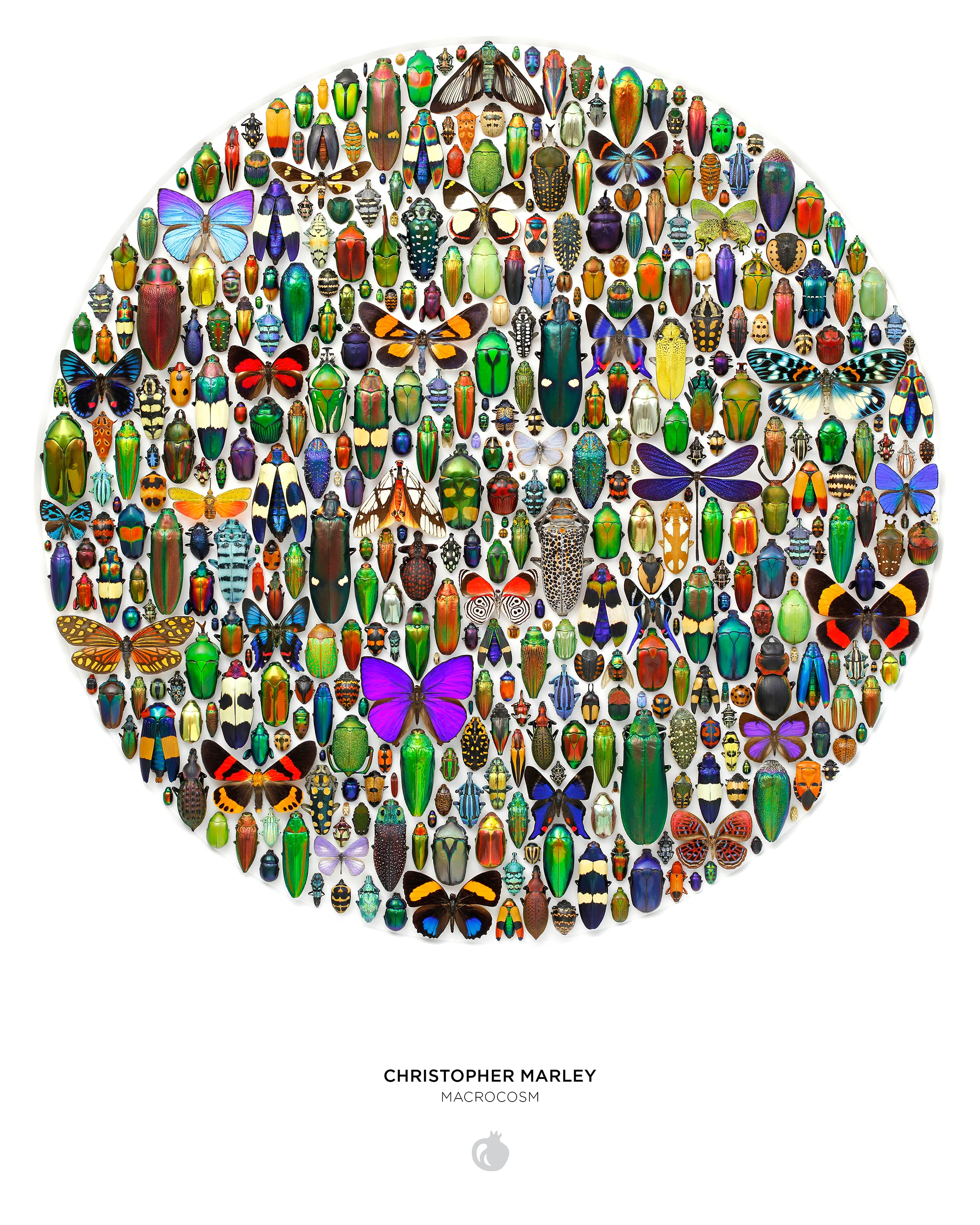 Christopher Marley: Macrocosm 500-Piece Circular Jigsaw Puzzle