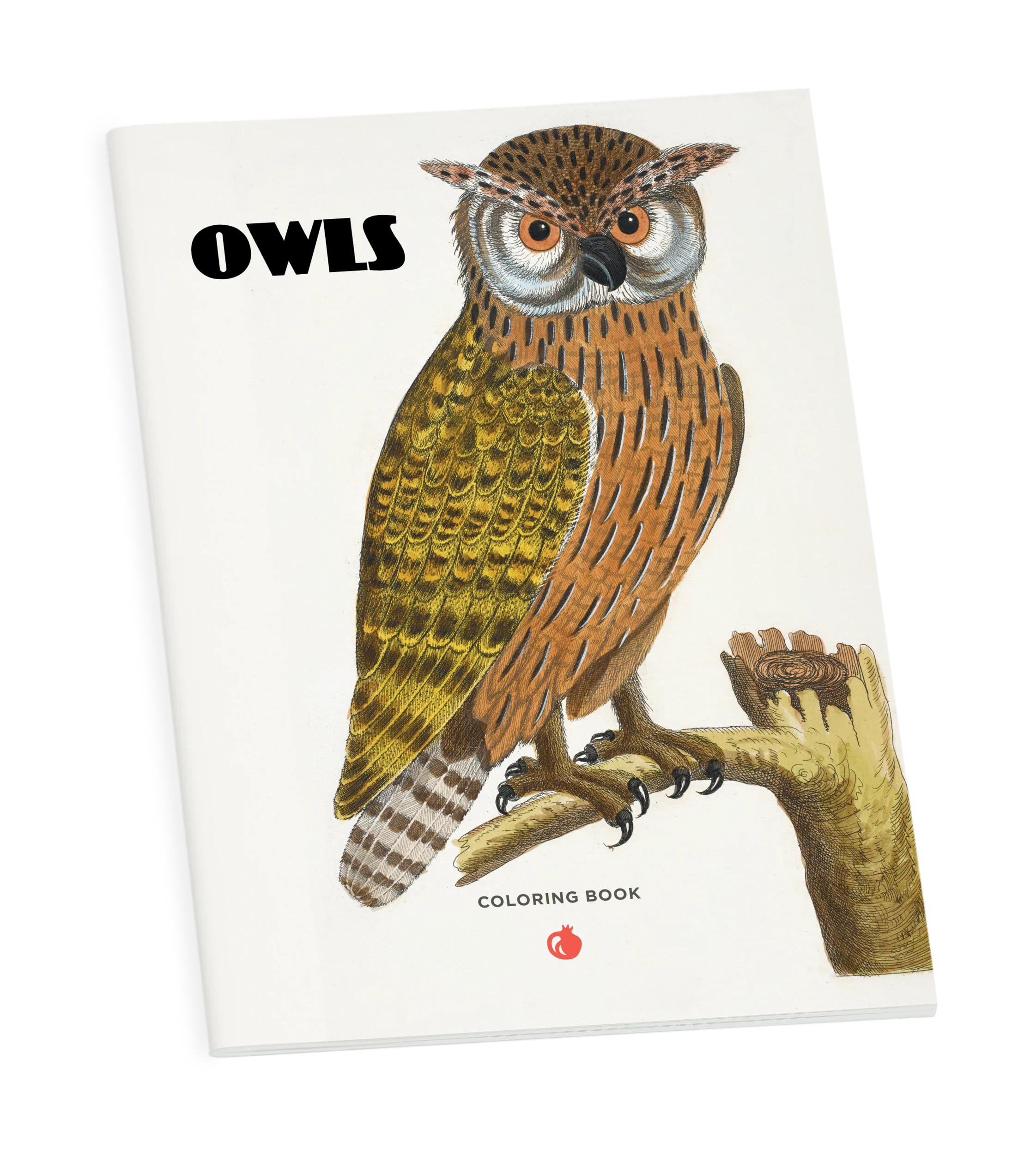 Owls Coloring Book