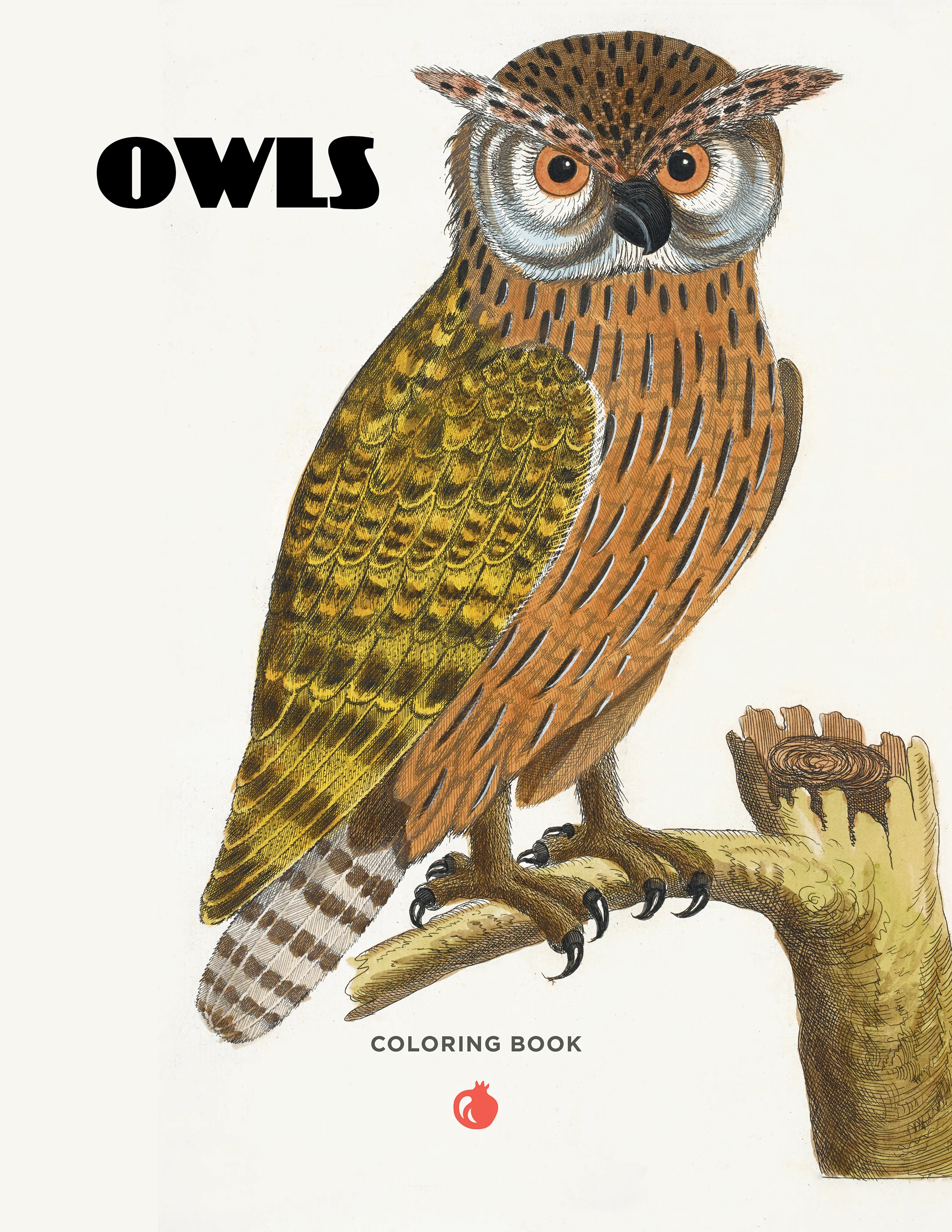 Owls Coloring Book 2 Owls Coloring Book