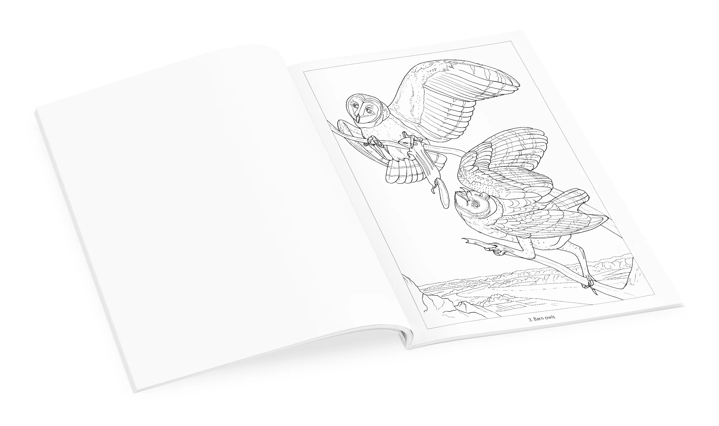 Owls Coloring Book 3 Owls Coloring Book