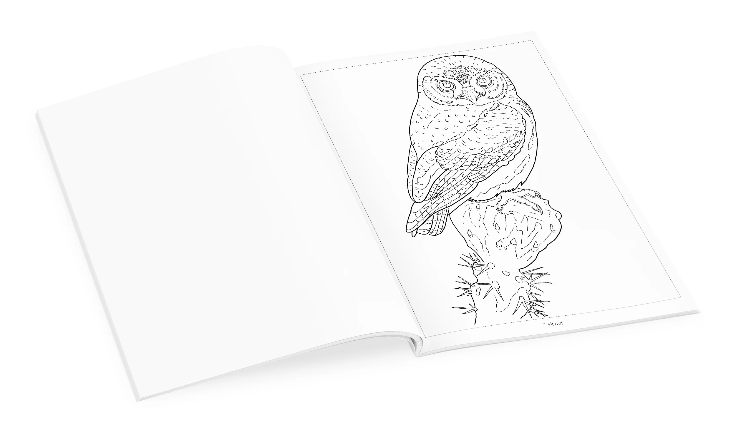 Owls Coloring Book 4 Owls Coloring Book