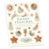 Ernst Haeckel: Art Forms in Nature Sticker Book