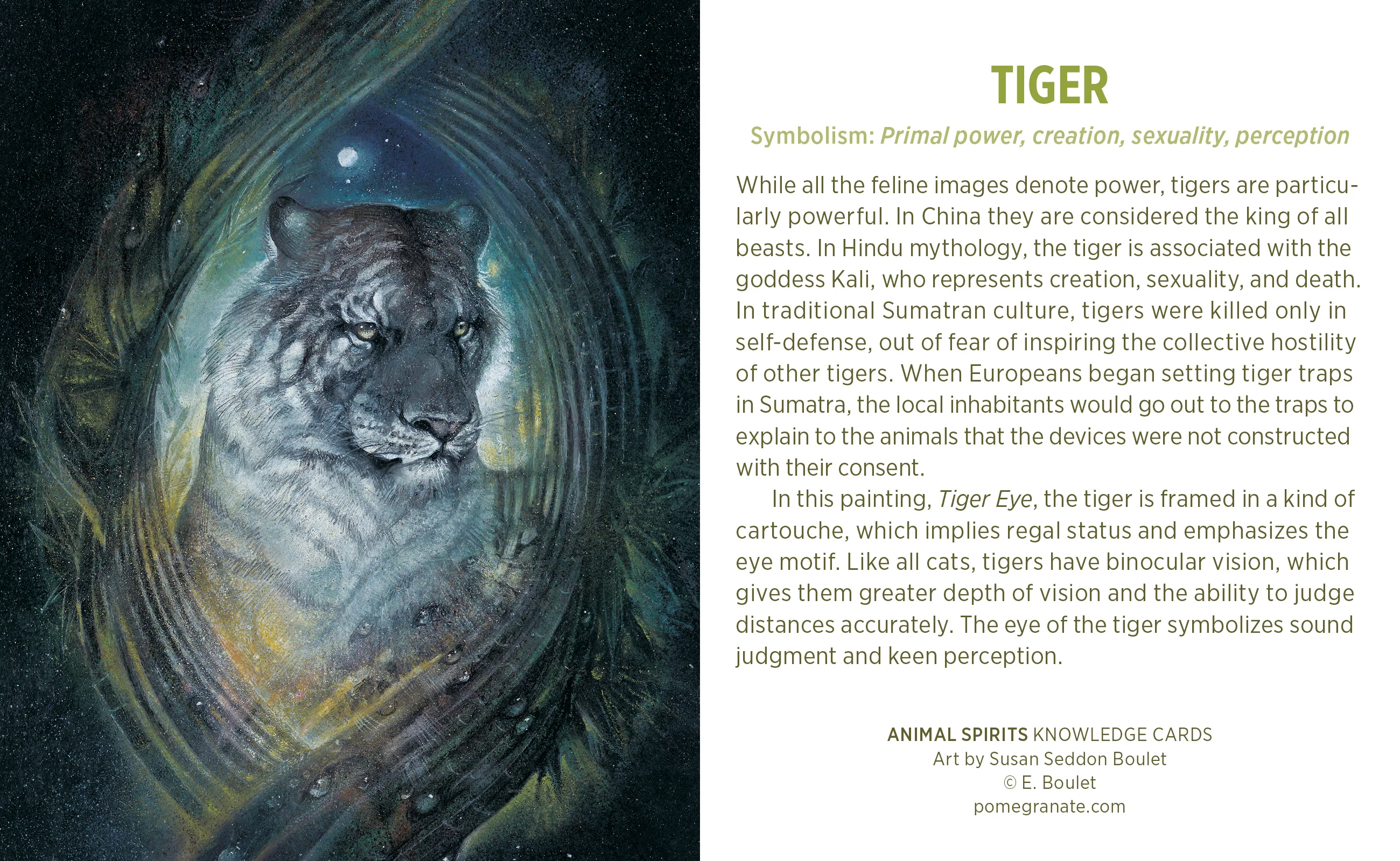 Animal Spirits Knowledge Cards