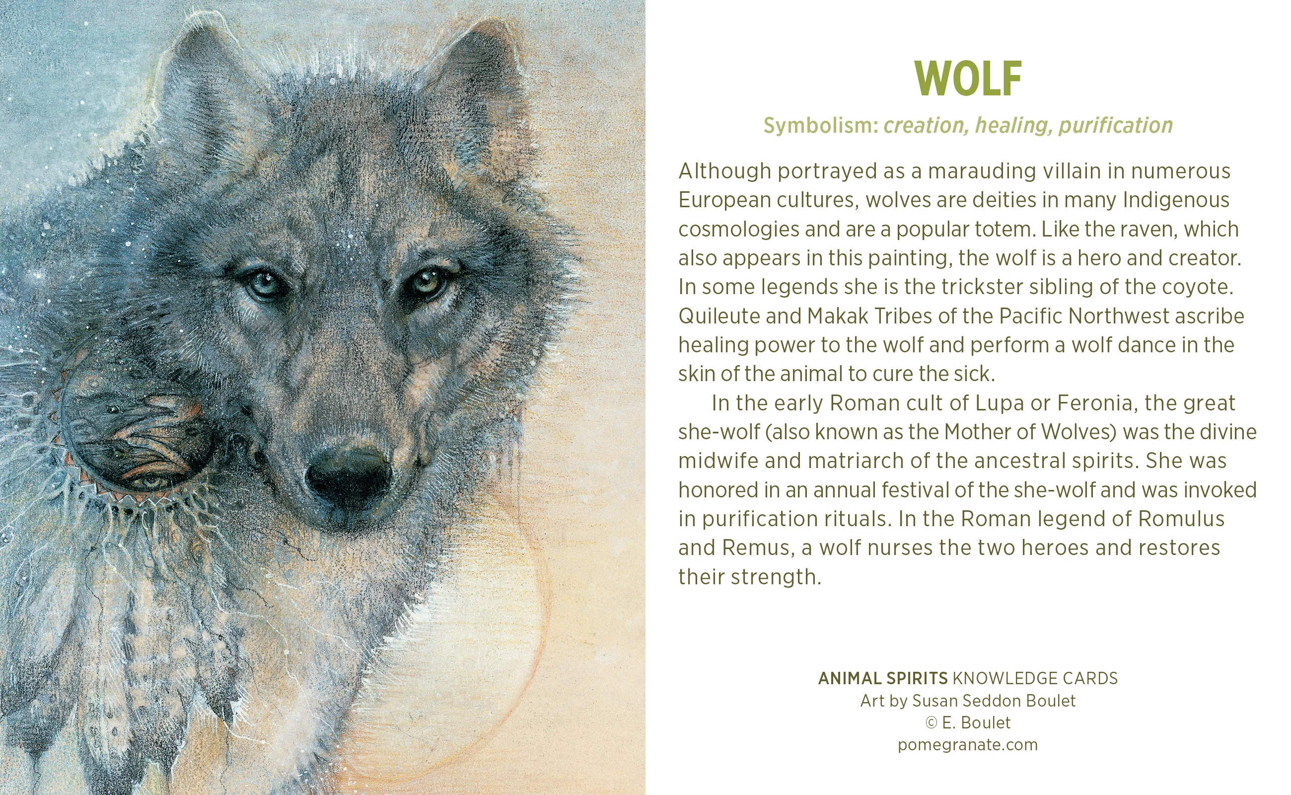 Animal Spirits Knowledge Cards 5 Animal Spirits Knowledge Cards