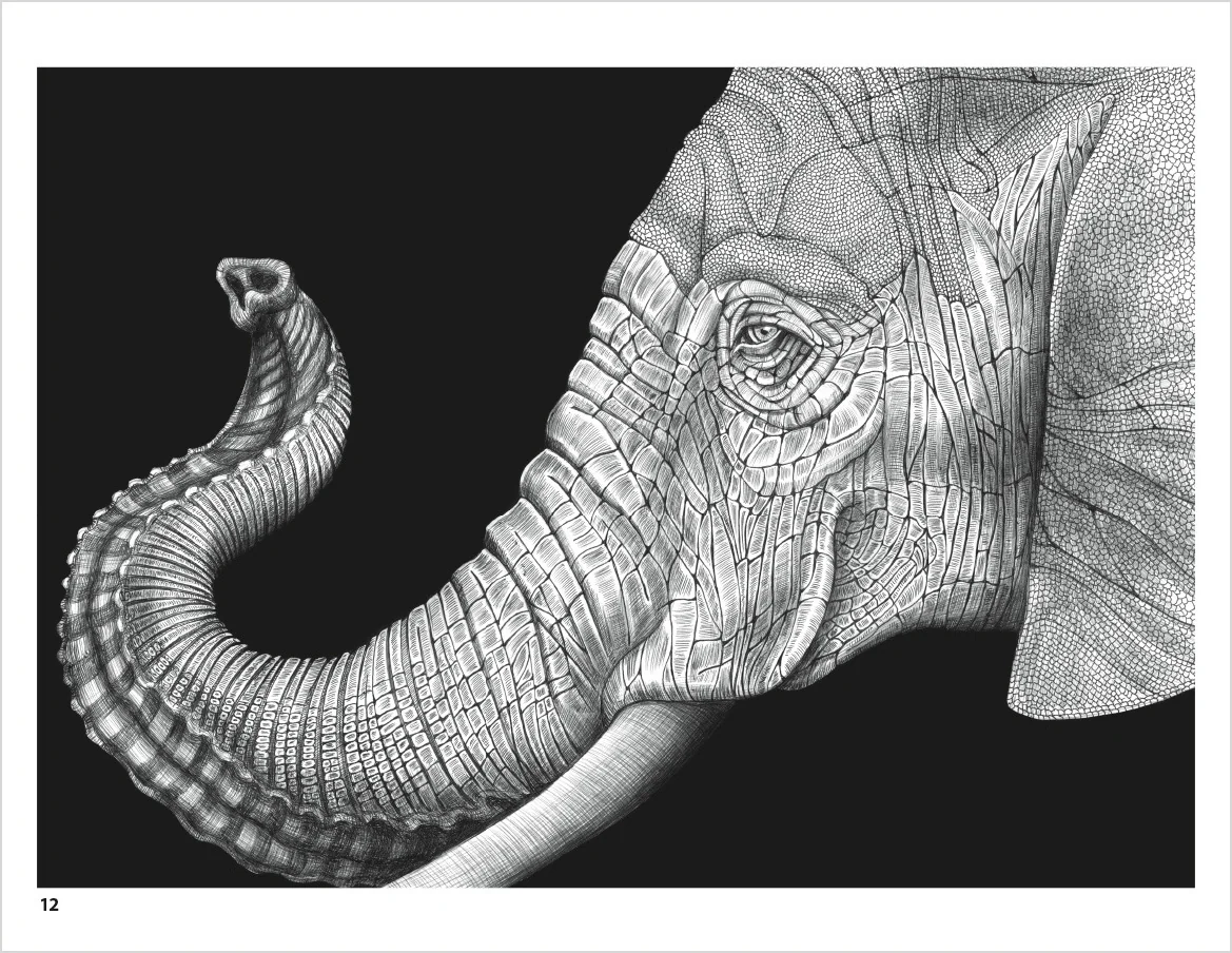 Intricate Ink: Animals in Detail Coloring Book 2 Intricate Ink: Animals in Detail Coloring Book