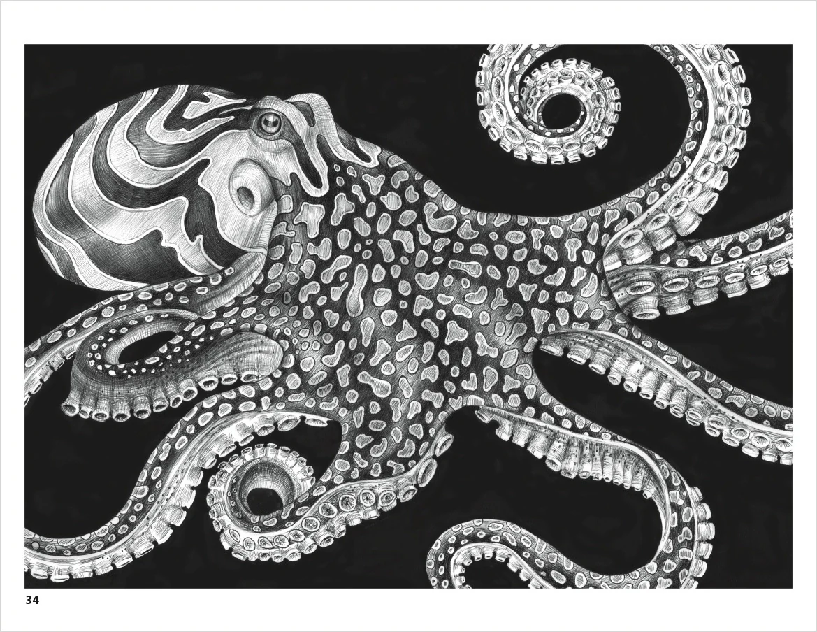 Intricate Ink: Animals in Detail Coloring Book 3 Intricate Ink: Animals in Detail Coloring Book
