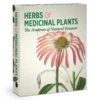 Herbs and Medicinal Plants Knowledge Cards