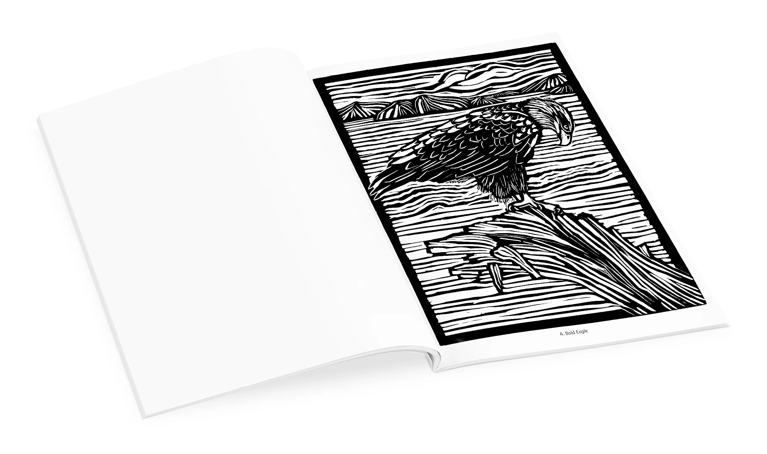 Molly Hashimoto: Birds Coloring Book 4 Molly Hashimoto: Birds Coloring Book