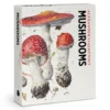 Mushrooms: Alexander Viazmensky Knowledge Cards