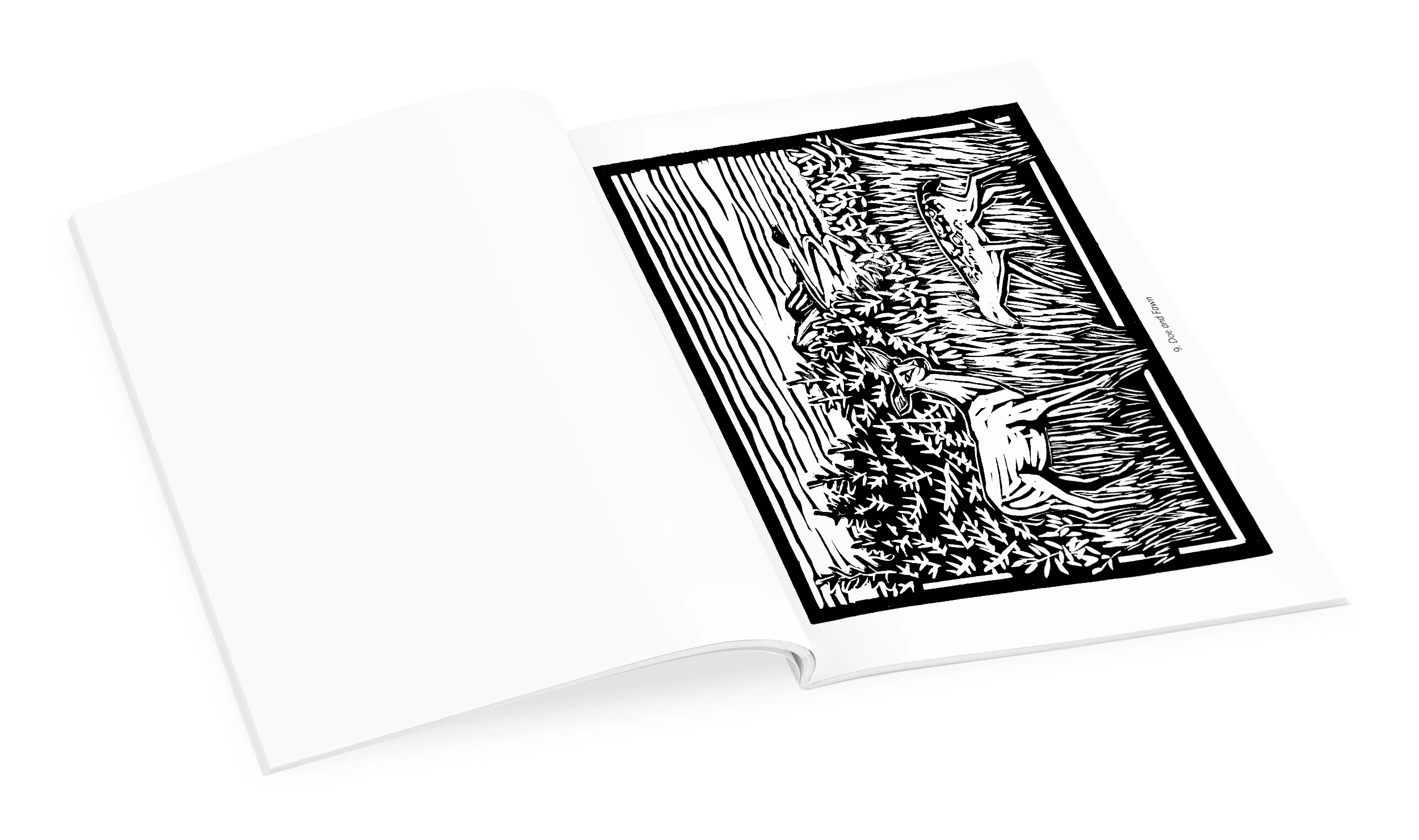 Molly Hashimoto: Birds & Other Wildlife Coloring Book 4 Molly Hashimoto: Birds & Other Wildlife Coloring Book