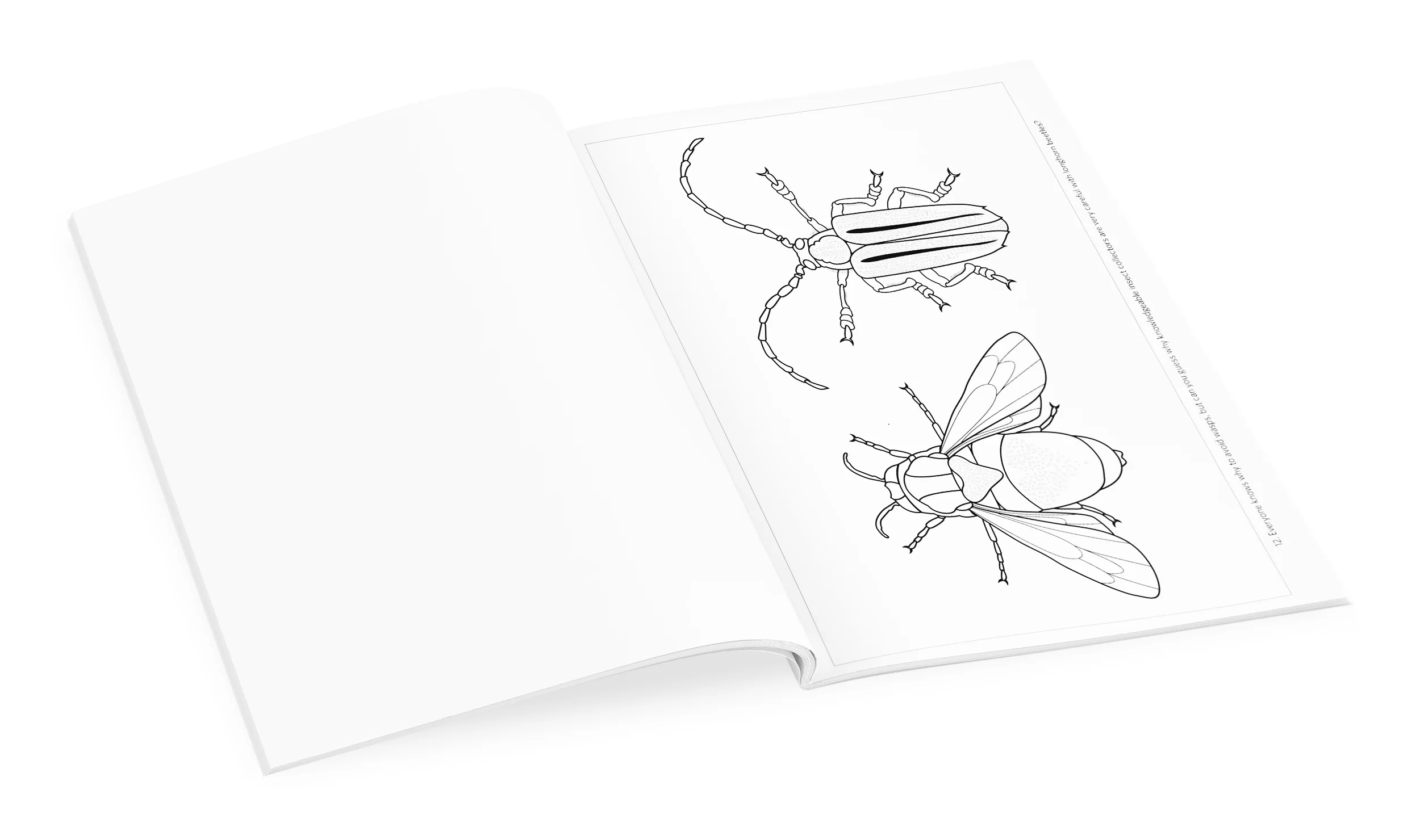 Incredible Insects: Designs by Christopher Marley Coloring Book