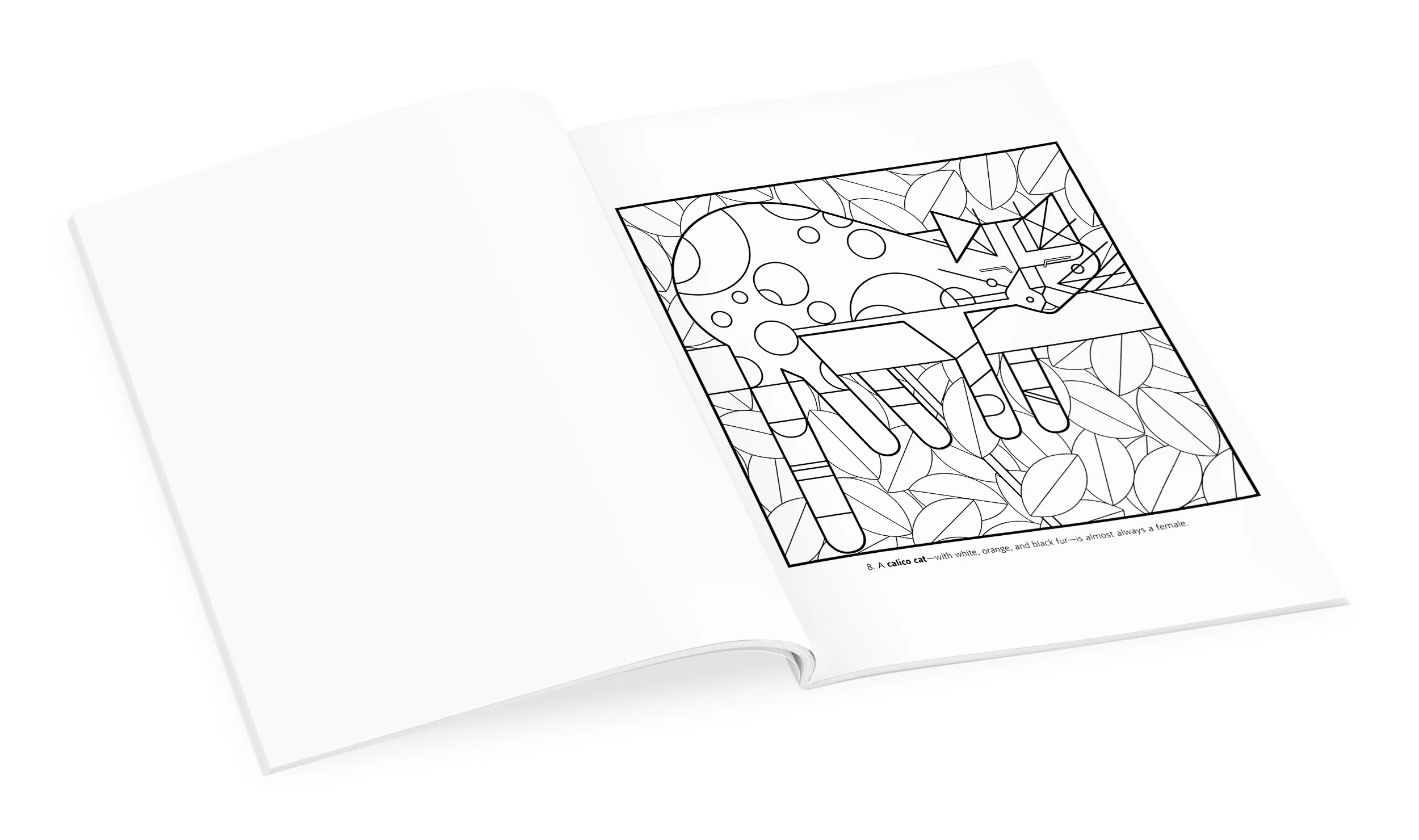 Charley Harper: Volume 1 Coloring Book