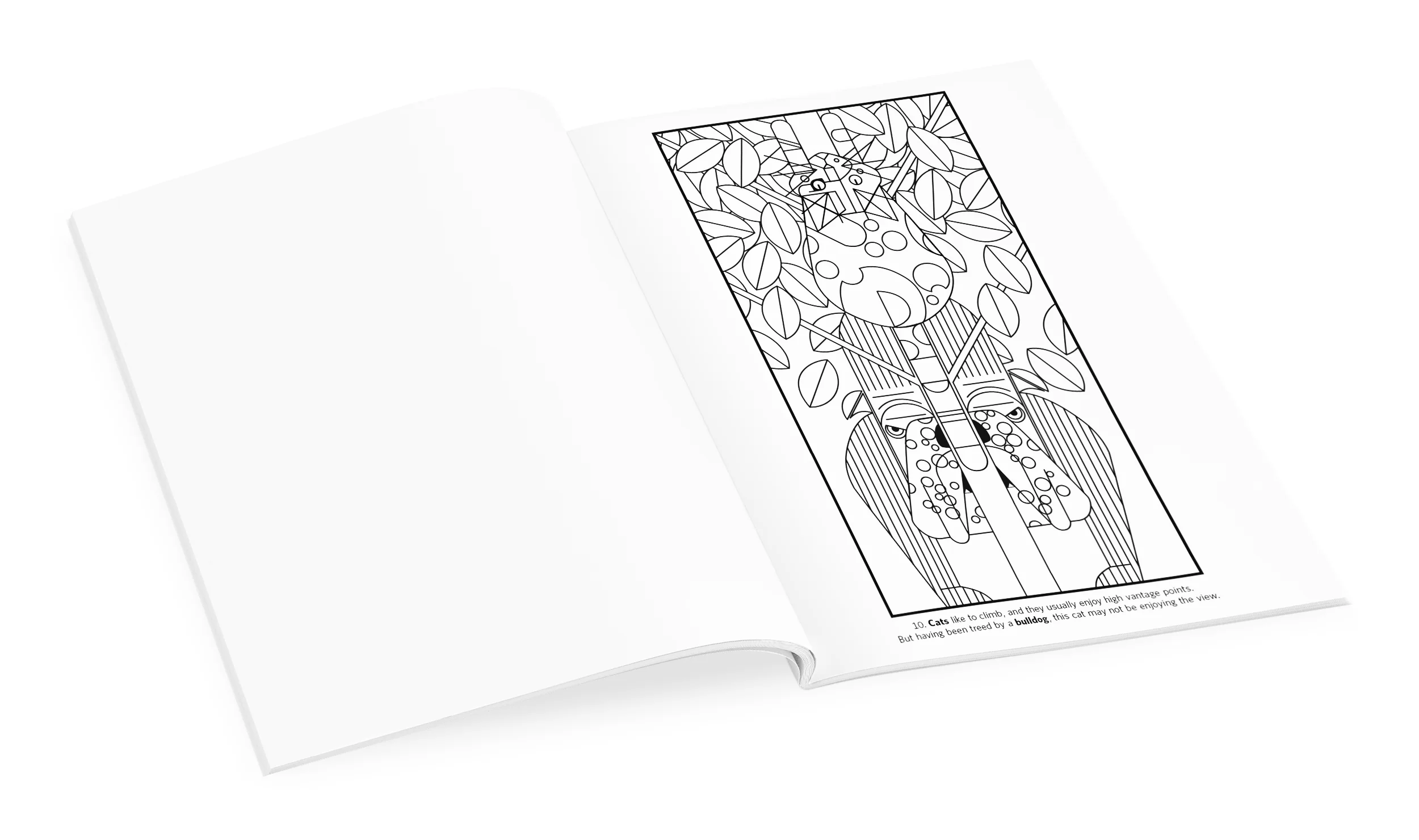 Charley Harper: Volume 2 Coloring Book