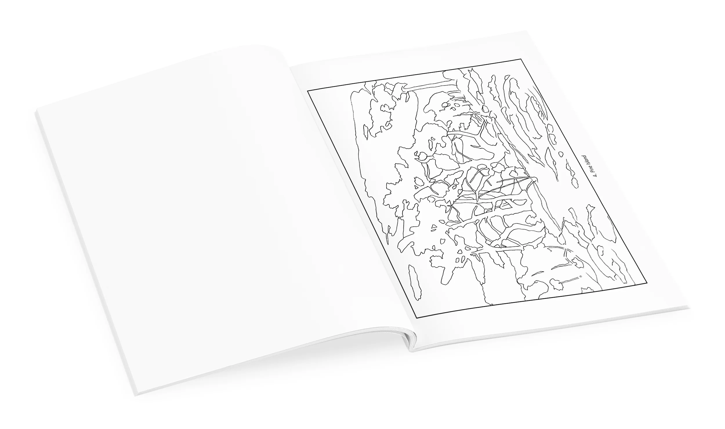 Tom Thomson Coloring Book 4 Tom Thomson Coloring Book