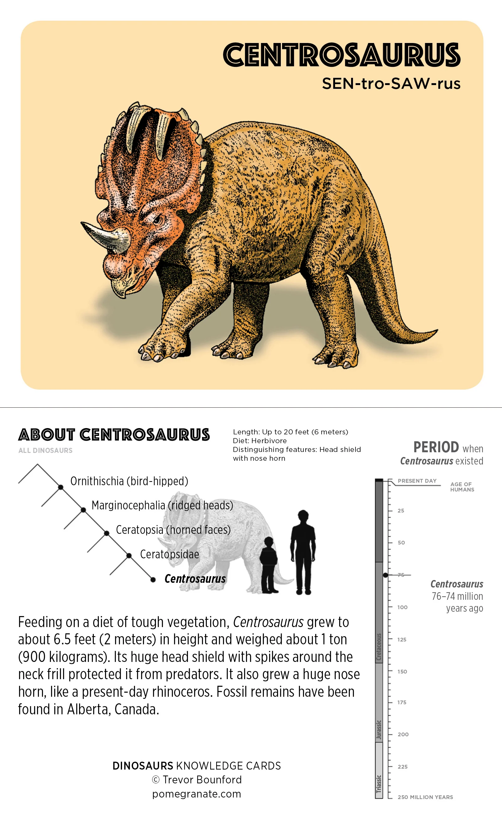 Dinosaurs Knowledge Cards 5 Dinosaurs Knowledge Cards