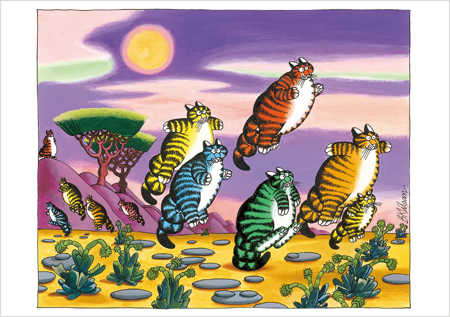 B. Kliban: CatFun Boxed Notecard Assortment
