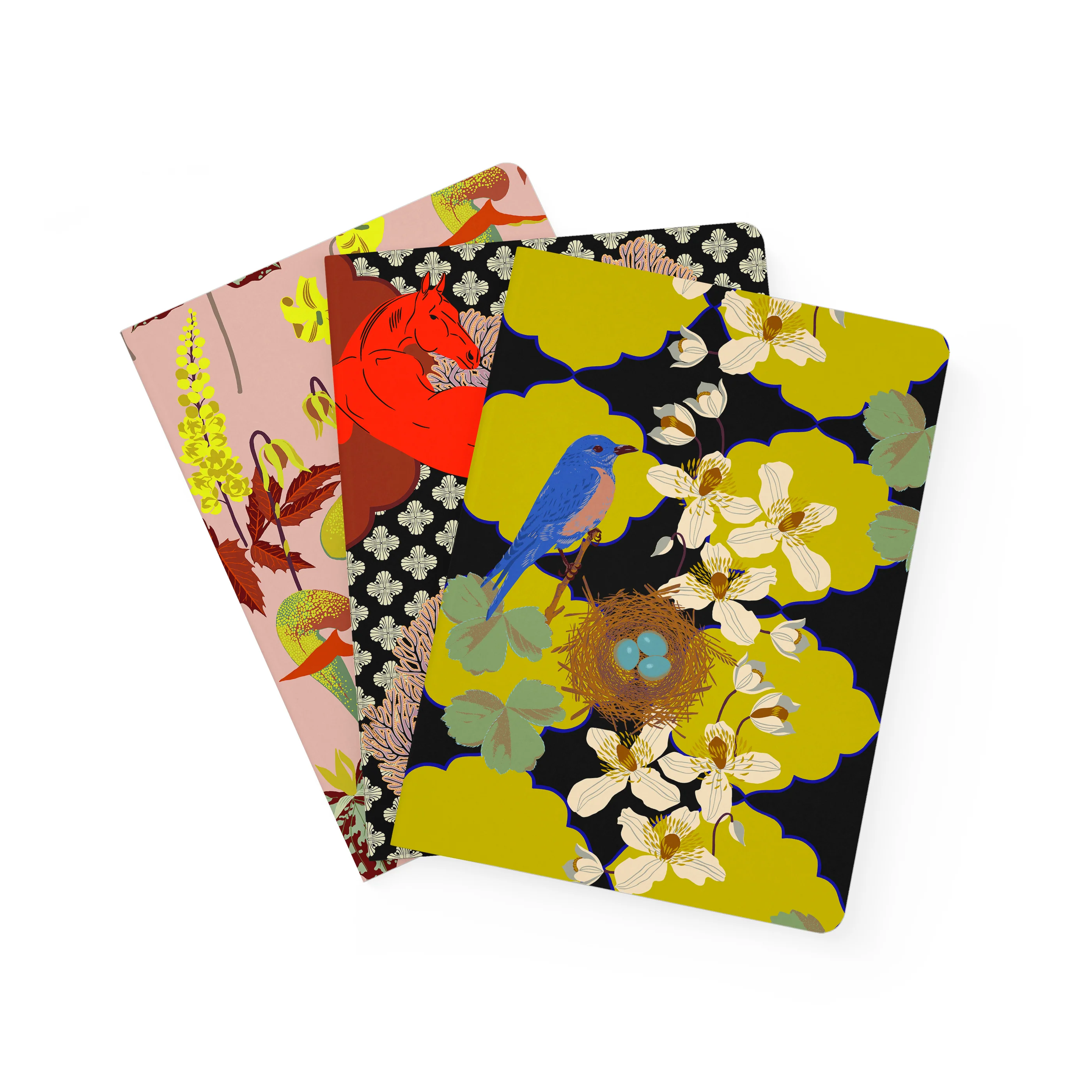 Kate Blairstone Large Notebook Set