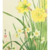 Nishimura Hodō: Narcissus Birthday Card
