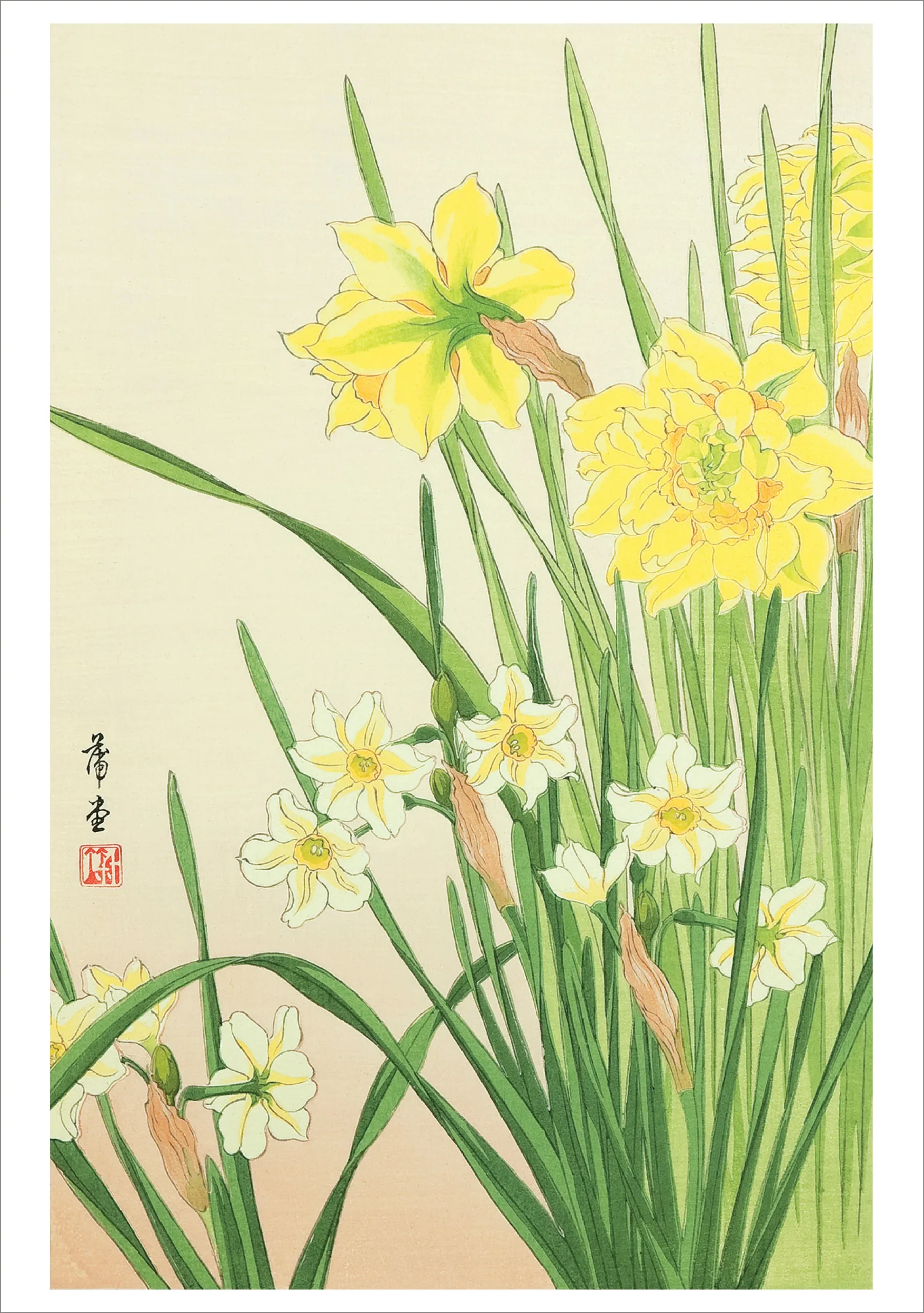 Nishimura Hodō: Narcissus Birthday Card