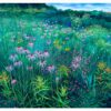 Rosalind Wise: Prairie Meadow with Echinacea Notecard