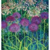 Rosalind Wise: Alliums Notecard