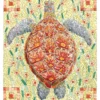 David Cohen: Sea Turtle Notecard