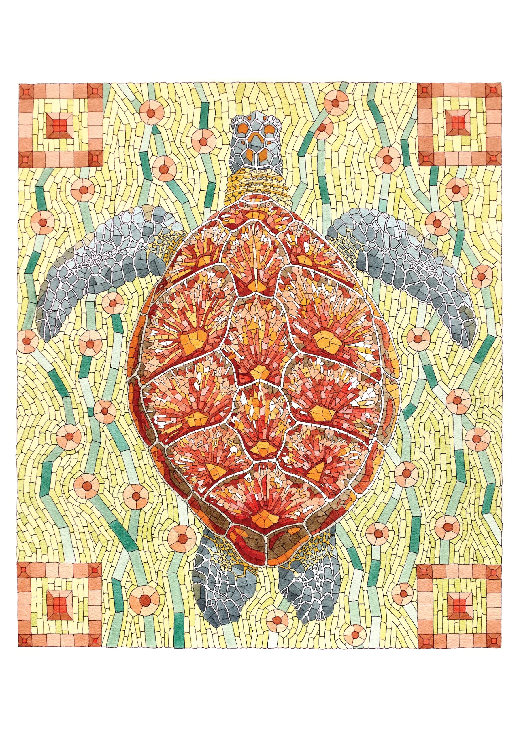 David Cohen: Sea Turtle Notecard