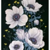Vasilisa Romanenko: Anemones Birthday Card