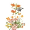 Erin E. Hunter: Wildflowers in Orange Birthday Card