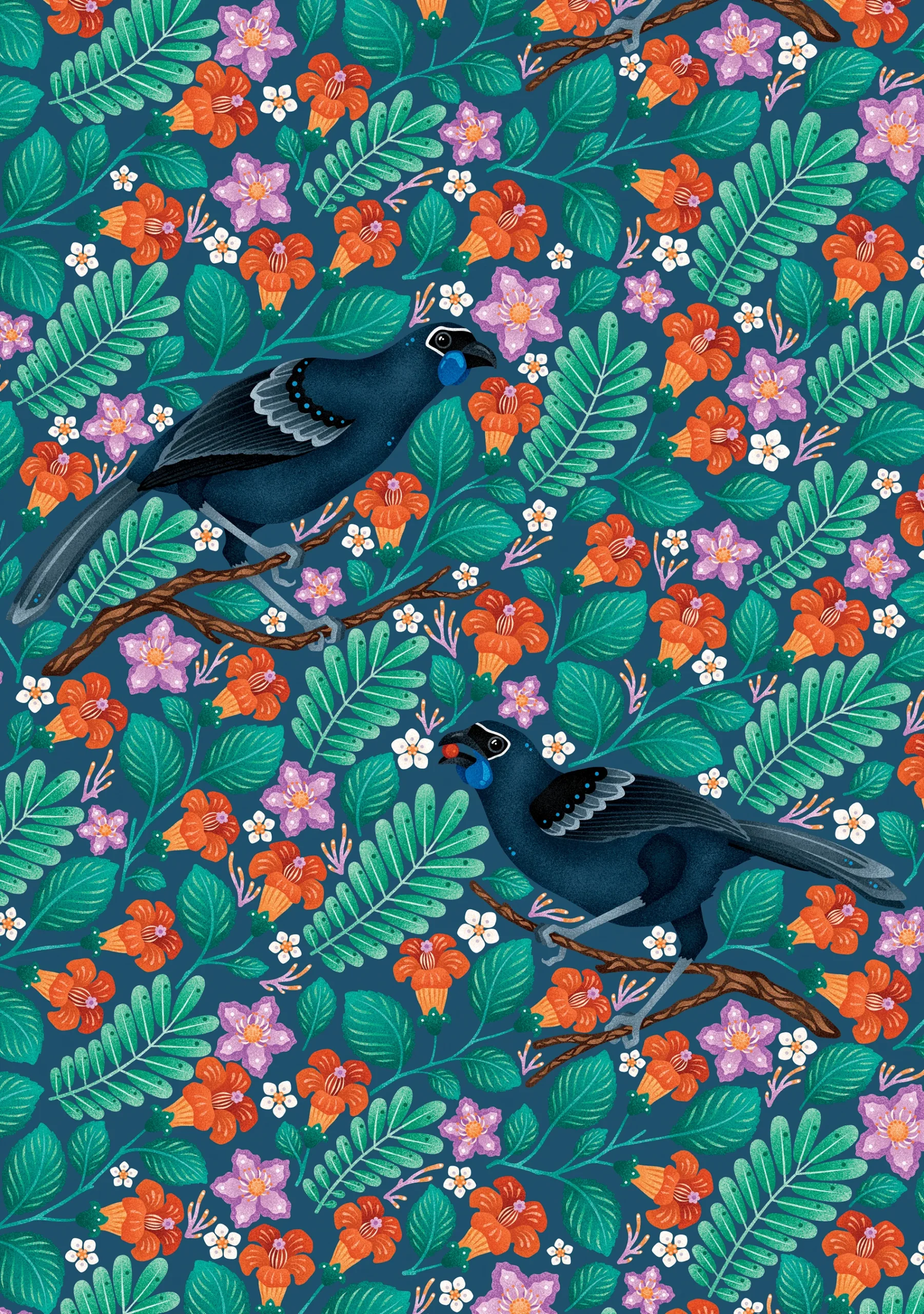 Catherine Marion: Kōkako Birthday Card