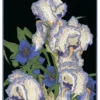 Franklin Carmichael: Pencilled Irises Notecard