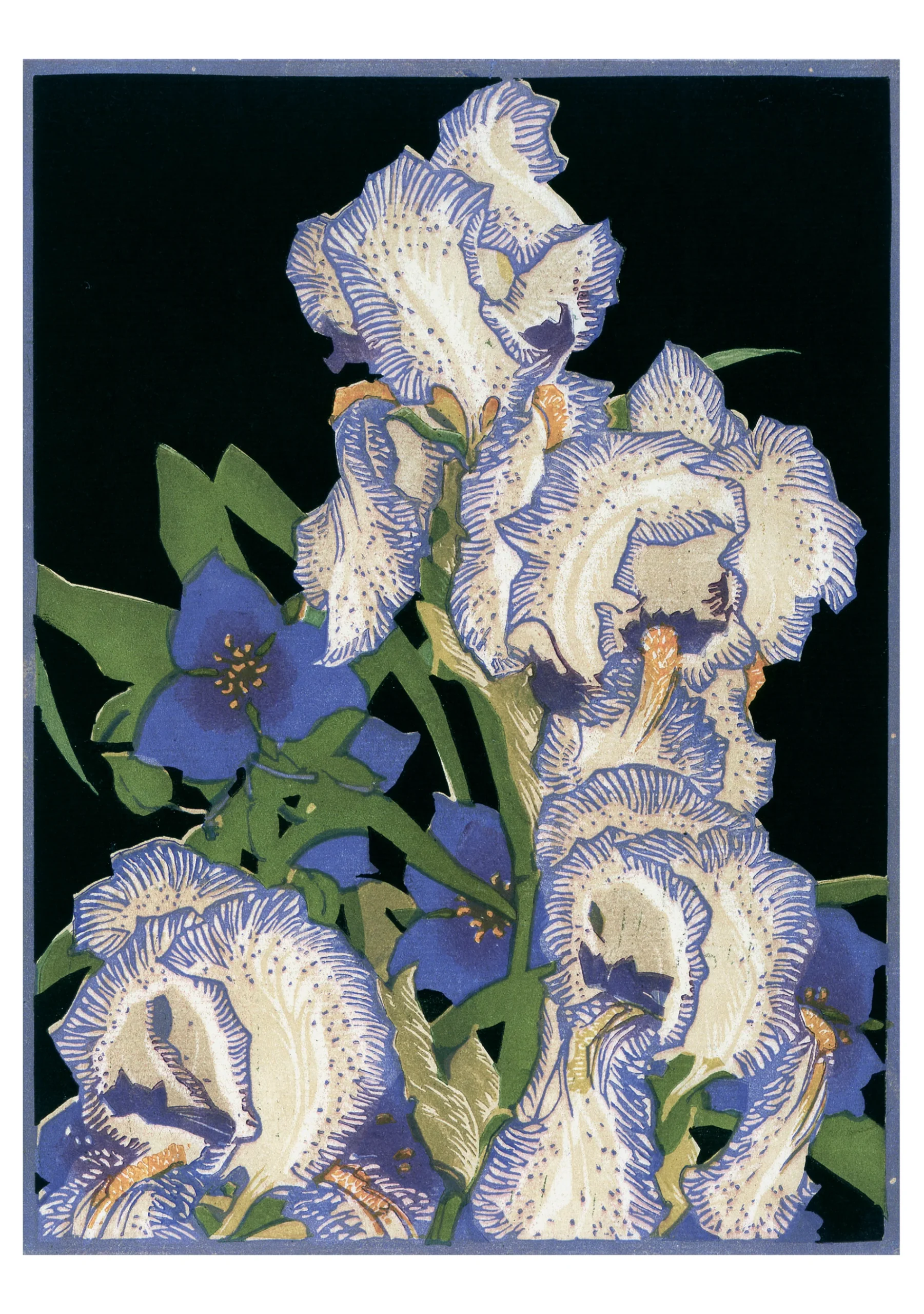 Franklin Carmichael: Pencilled Irises Notecard